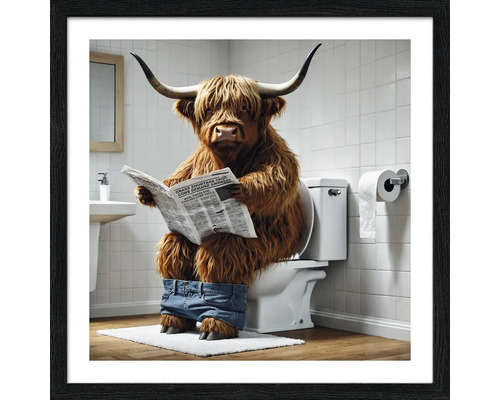 Illustration d'une vache Highland écossaise assise sur des toilettes en train de lire un journal