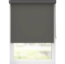 Fenster mit blickdichtem Rollo