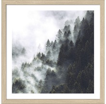 Gerahmtes Bild mit einem Wald im Nebel