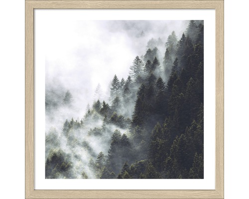 Image encadrée Foggy Trees I 33x33 cm