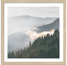 Image encadrée d''un paysage de montagne brumeux avec forêt