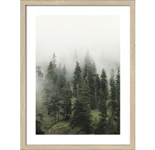 Gerahmtes Bild mit Waldmotiv im Nebel