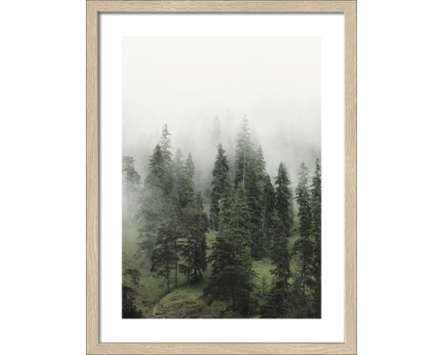 Image encadrée Foggy Trees II 33x43cm