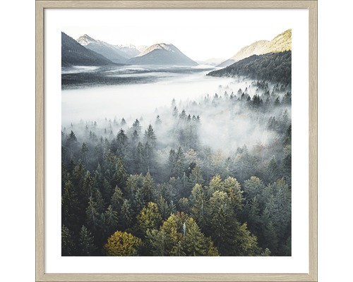 Gerahmtes Bild Foggy Forest Atmosphere 53x53 cm
