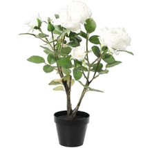 Kunstpflanze Rose im schwarzen Topf