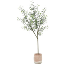 Künstlicher Olivenbaum in einem Topf