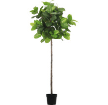 Künstlicher Ficus Lyrata im Topf
