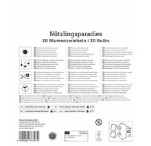 Informationen zu Nützlingsparadies 20 Blumenzwiebeln