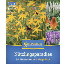 Nützlingsparadies Blumenmischung von Kiepenkerl, Megapack mit 20 Blumenzwiebeln
