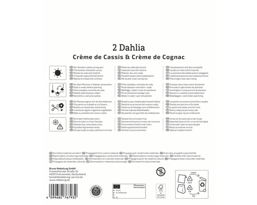 Informationen zur Dahlienpflanzung und -pflege