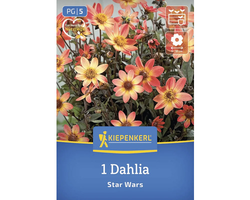 Kiepenkerl Logo, 1 Dahlie Star Wars
