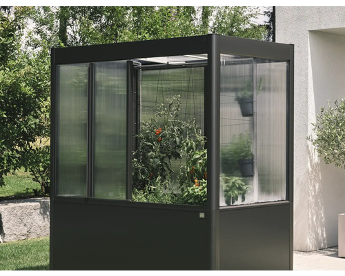 Petite serre avec des plantes