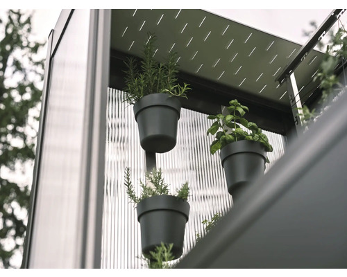 Nahaufnahme von Kräutern in Töpfen an einer Wand, die ein vertikales Gartensystem bilden.