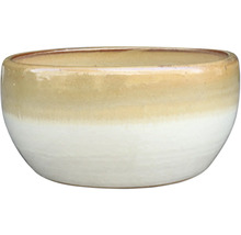 Pot de fleurs en céramique pour l'intérieur