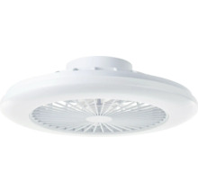 Ventilateur de plafond pour l'intérieur