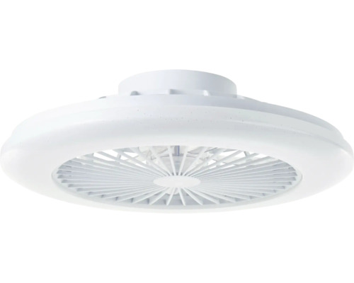 Ventilateur de plafond pour l'intérieur