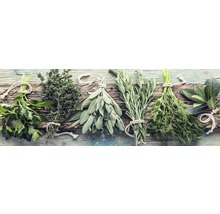 Leinwandbild Herbs on wood 27x77 cm