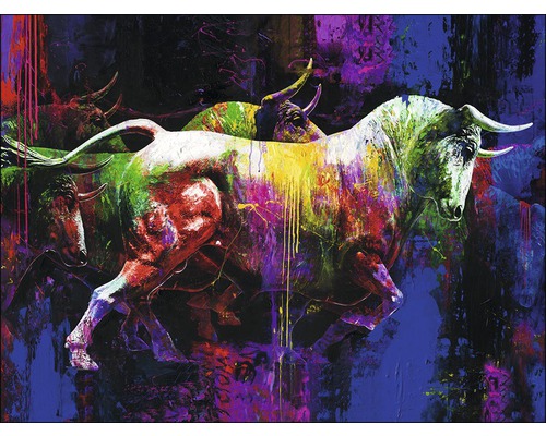 Tableau sur toile Colourful Bull II 84x116cm