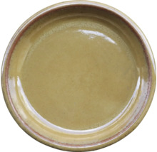 Assiette en céramique pour la table à manger