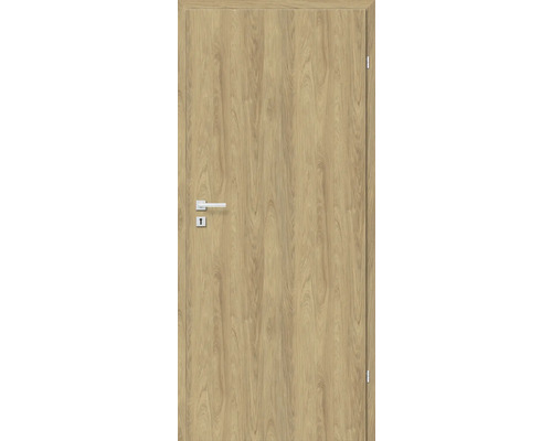 Porte intérieure avec motif bois et ferrures