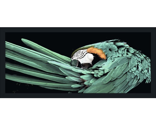Image encadrée Green Parrot 60x130cm
