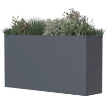 Rechteckiger Pflanzkasten mit verschiedenen Pflanzen