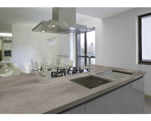 Cuisine moderne avec plaque de cuisson, évier et hotte aspirante