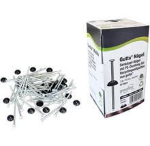 Clous à tête fraisée Gutta avec joint PE pour plaques ondulées de recyclage, 2,8 x 70 mm, galvanisés, 50 pièces