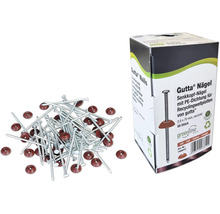 Clous Gutta avec joint PE et emballage