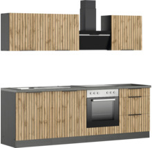 Cuisine avec évier, plaque de cuisson, four et hotte avec façade en bois