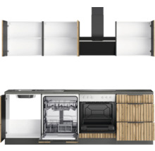 Cuisine équipée avec éléments hauts, évier, lave-vaisselle, four et hotte aspirante