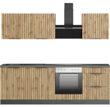 Küchenzeile mit Spüle, Herd, Backofen und Dunstabzugshaube
