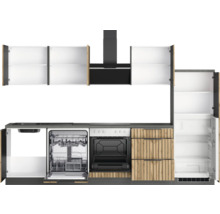 Cuisine complète avec lave-vaisselle, cuisinière, hotte aspirante et réfrigérateur