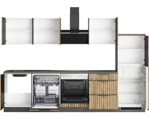 Cuisine complète avec lave-vaisselle, cuisinière, hotte aspirante et réfrigérateur