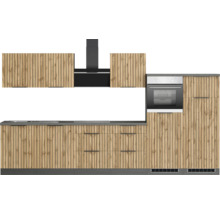 Cuisine équipée avec évier, plaque de cuisson, four et hotte aspirante