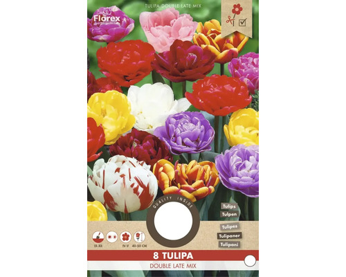 Verpackung mit Tulpen der Sorte Double Late Mix