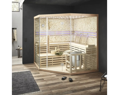 Sauna moderne avec façade en verre, bancs en bois et poêle de sauna dans un intérieur
