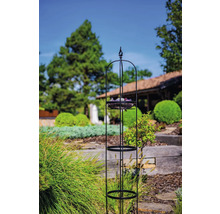 Gartendekoration mit Pflanzenständer im Aussenbereich