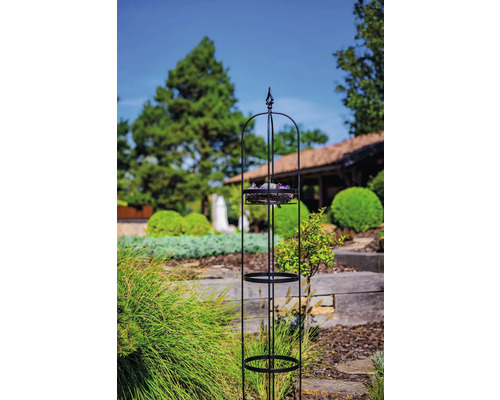 Gartendekoration mit Pflanzenständer im Aussenbereich