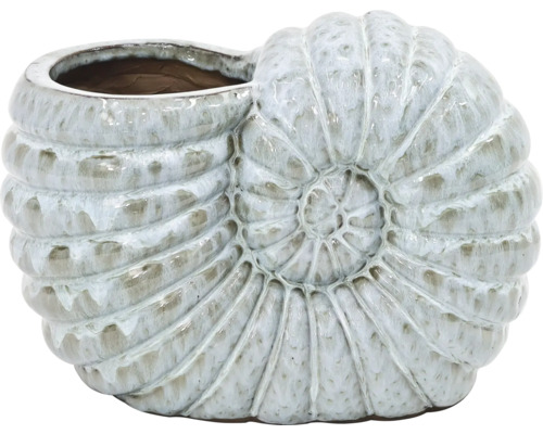 Blumentopf in Form einer Ammoniten-Fossile