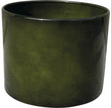 Pot de fleurs en verre