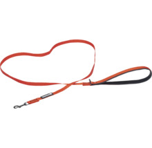 Orangefarbene Hundeleine mit gepolstertem Griff