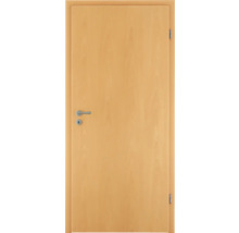 Porte en bois avec ferrures