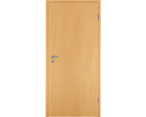 Porte en bois avec ferrures