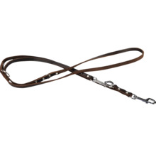 Laisse pour chien marron en cuir avec fixations argentées.