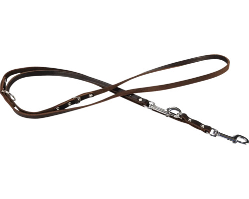 Laisse pour chien marron en cuir avec fixations argentées.