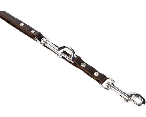 Laisse pour chien en cuir marron avec mousquetons argentés