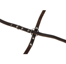 Harnais en cuir avec anneaux et rivets en métal