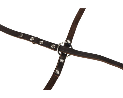 Harnais en cuir avec anneaux et rivets en métal