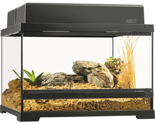 Terrarium Exo Terra aménagé avec des plantes et des pierres